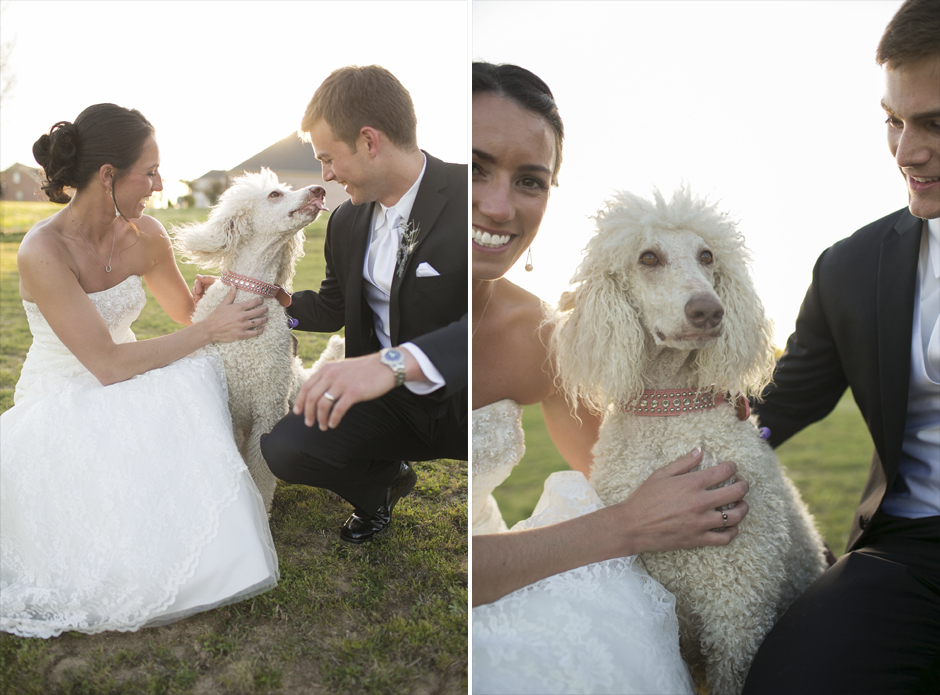bride-and-groom-with-dog