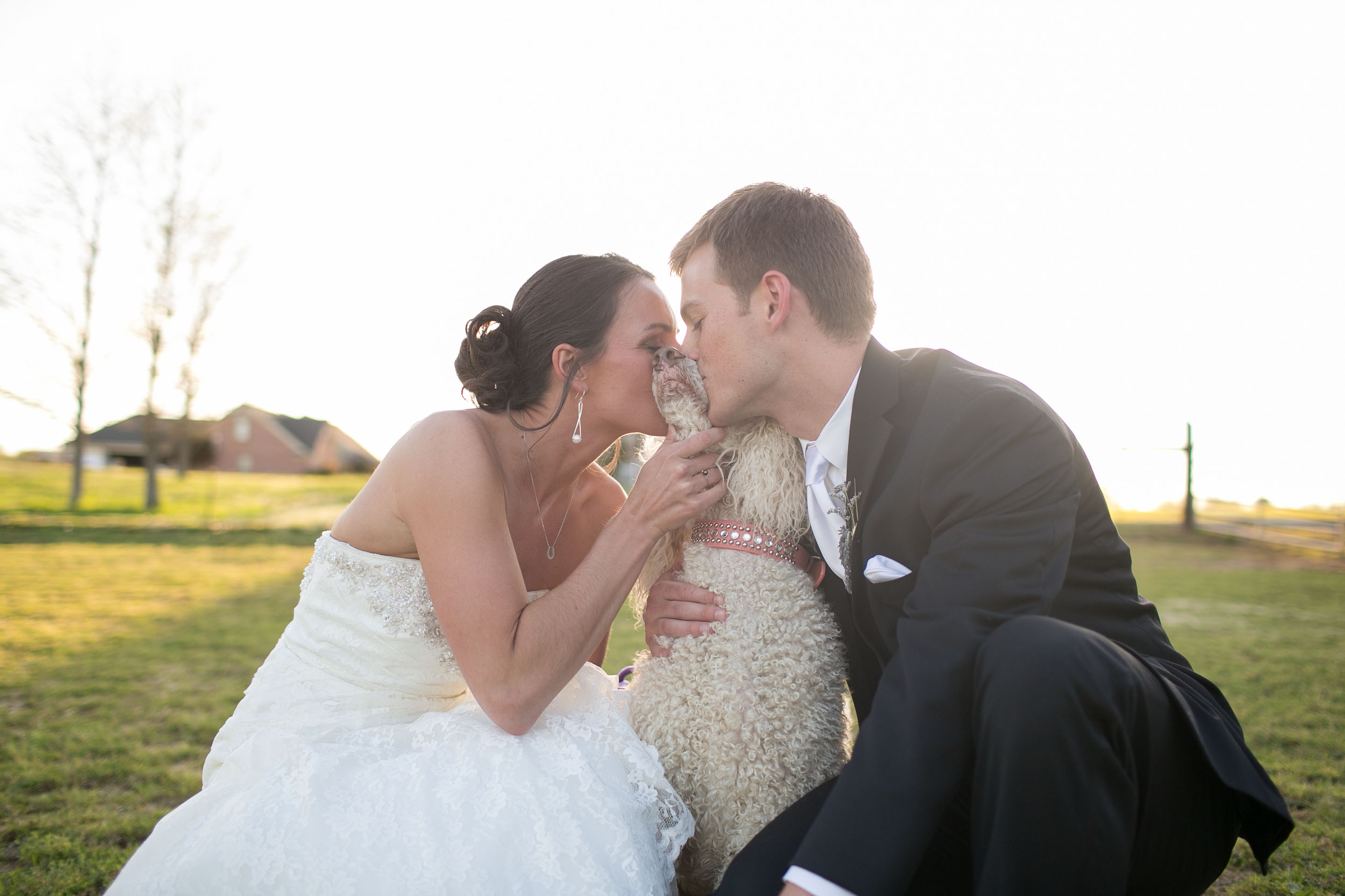 bride-and-groom-with-dog