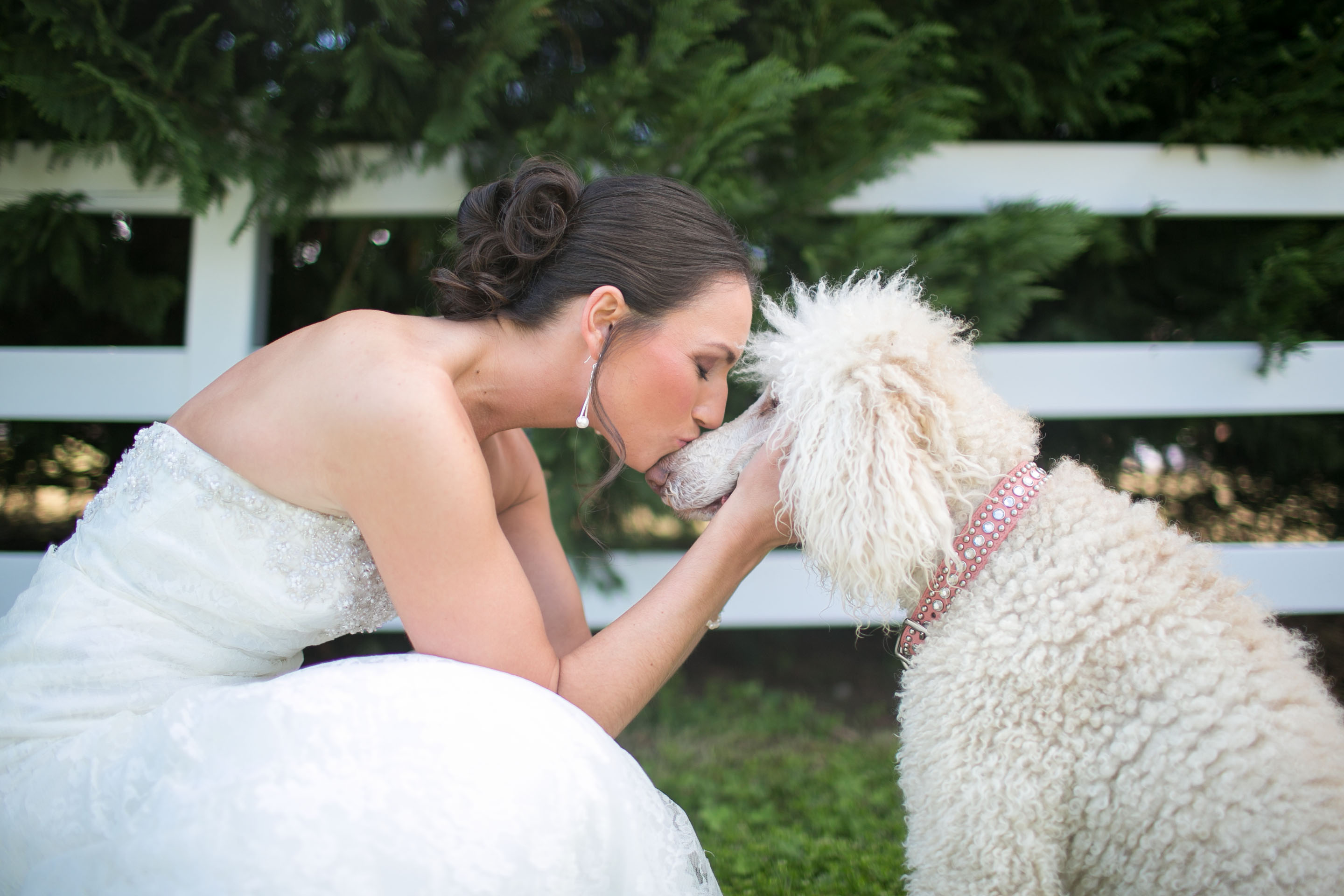 bride-with-dog