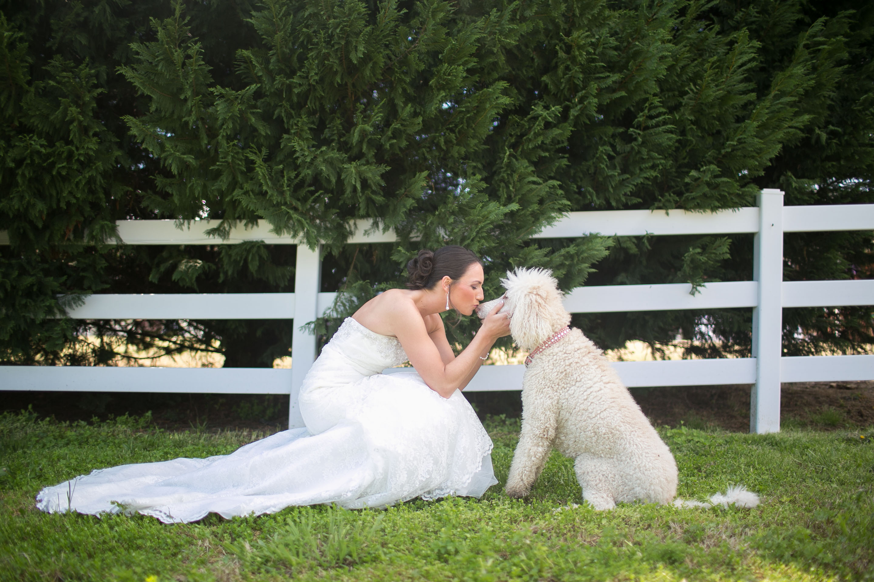 bride-kissing-poodle