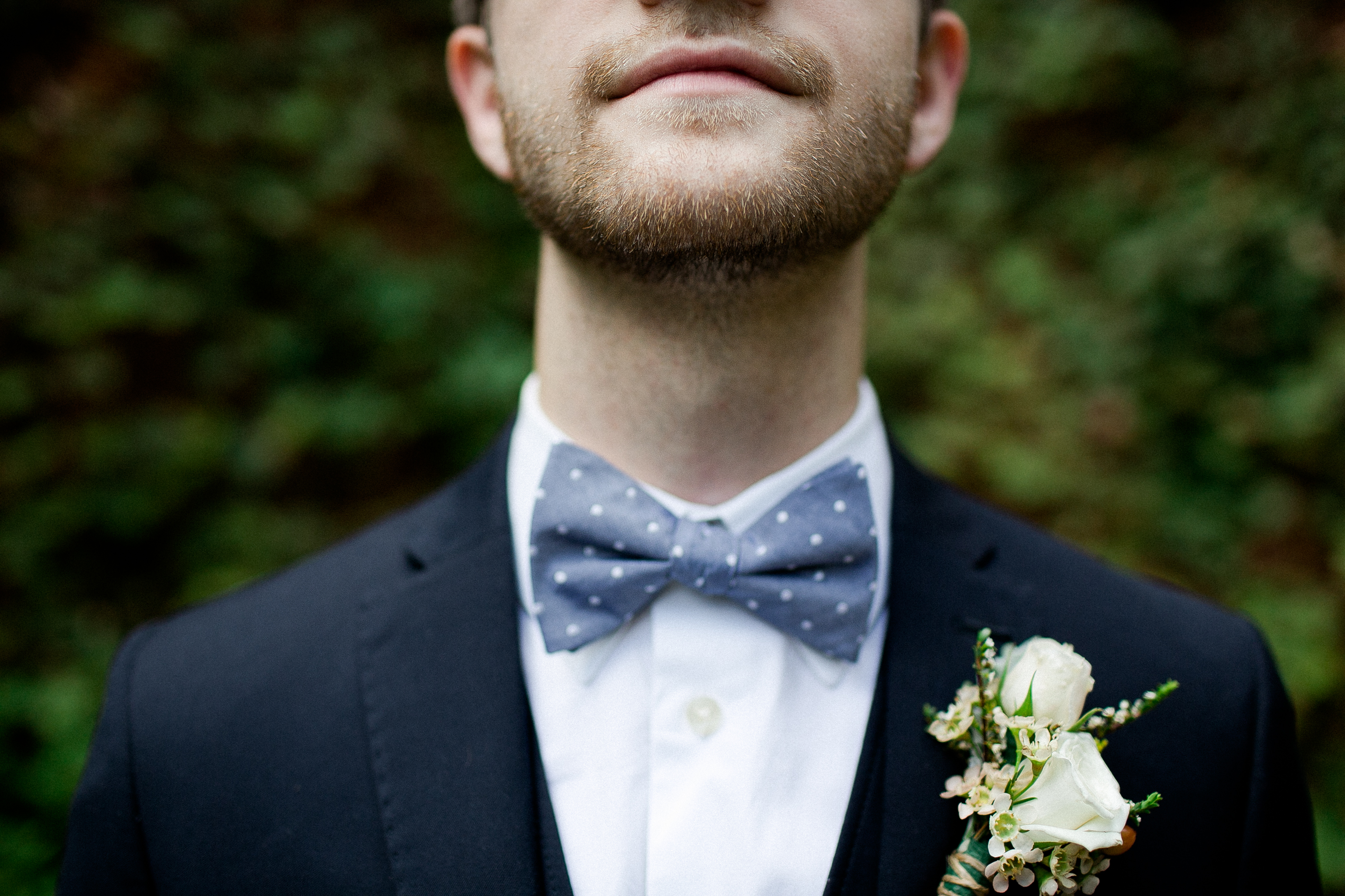 polkadot-bow-tie