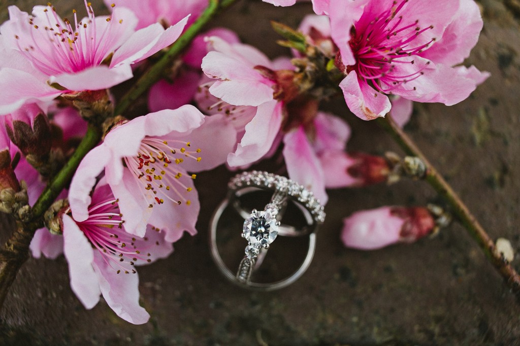 cherry blossoms, creative wedding photography