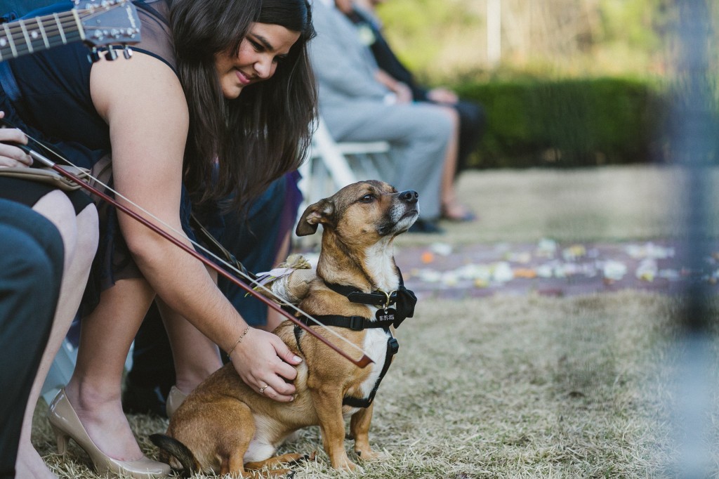 intimate wedding photography, nontraditional wedding photos