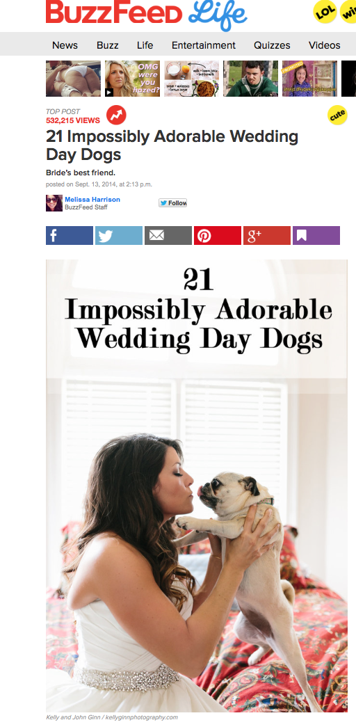 Buzzfeed by Kelly Ginn