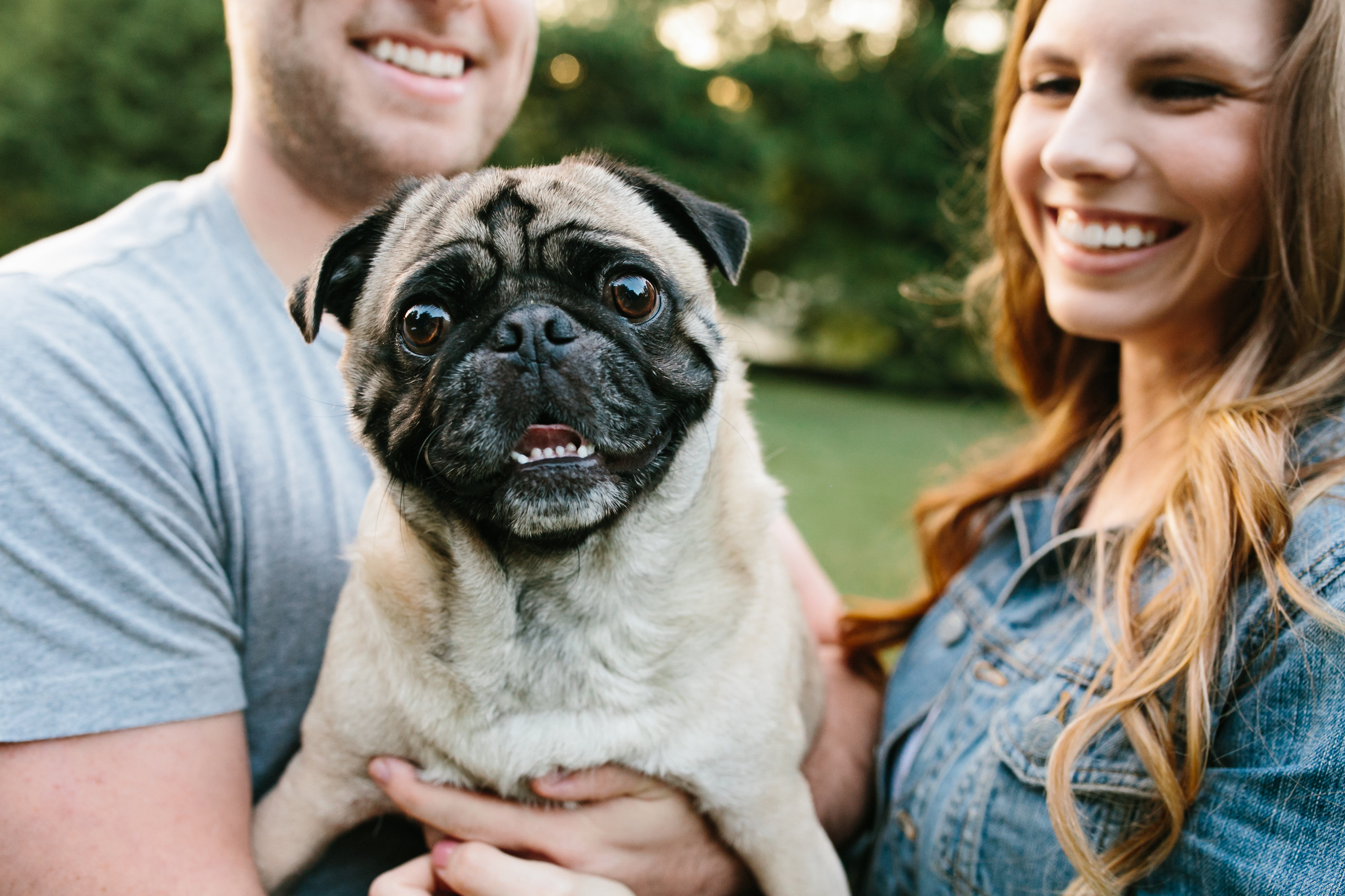 Creative engagement photos. Tennessee wedding photography. Urban engagement photos. Authentic, intimate wedding photography. Engagements with a dog. Engagement photos with a dog. Engagement photos with a pug.