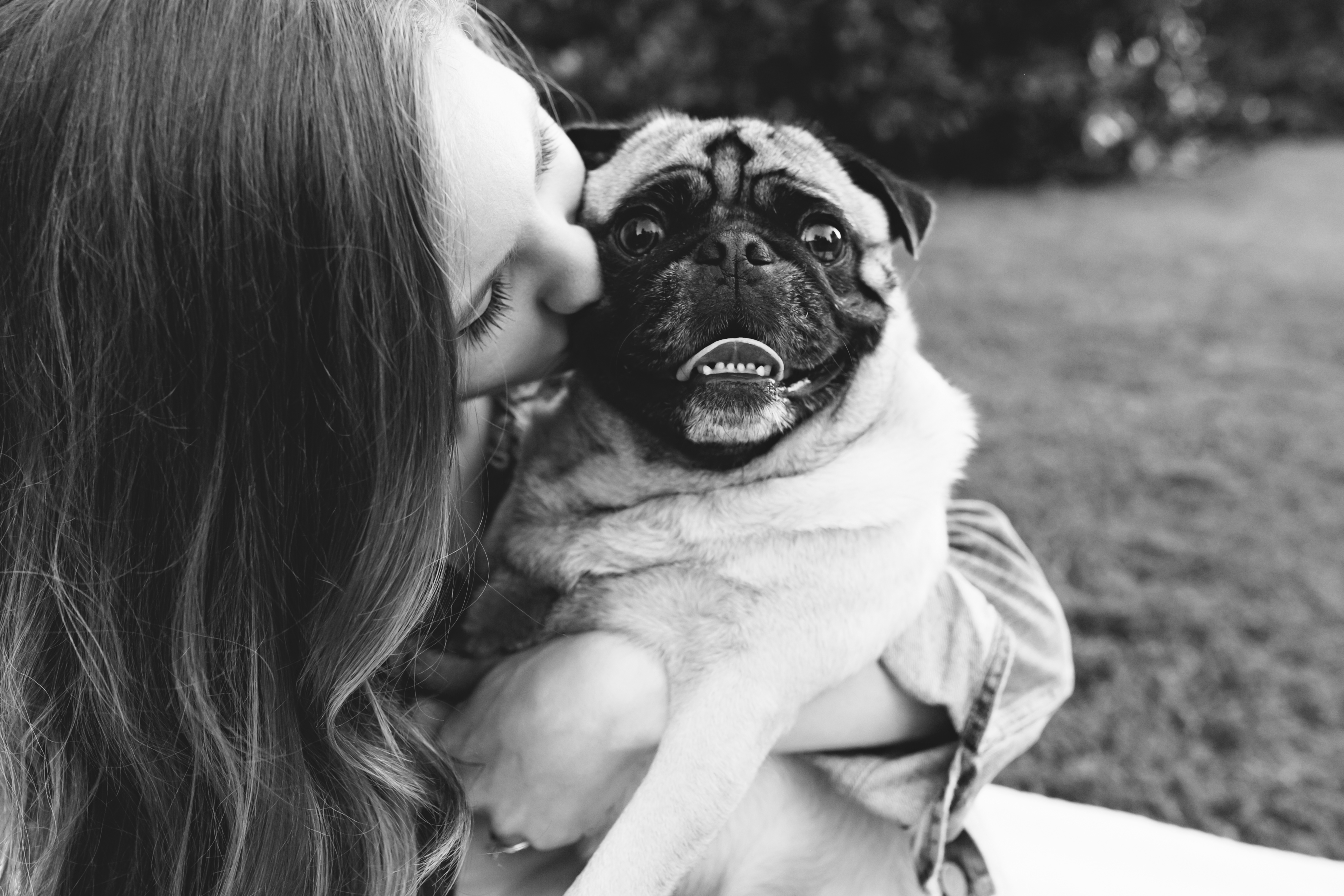 Creative engagement photos. Tennessee wedding photography. Urban engagement photos. Authentic, intimate wedding photography. Engagements with a dog. Engagement photos with a dog. Engagement photos with a pug.