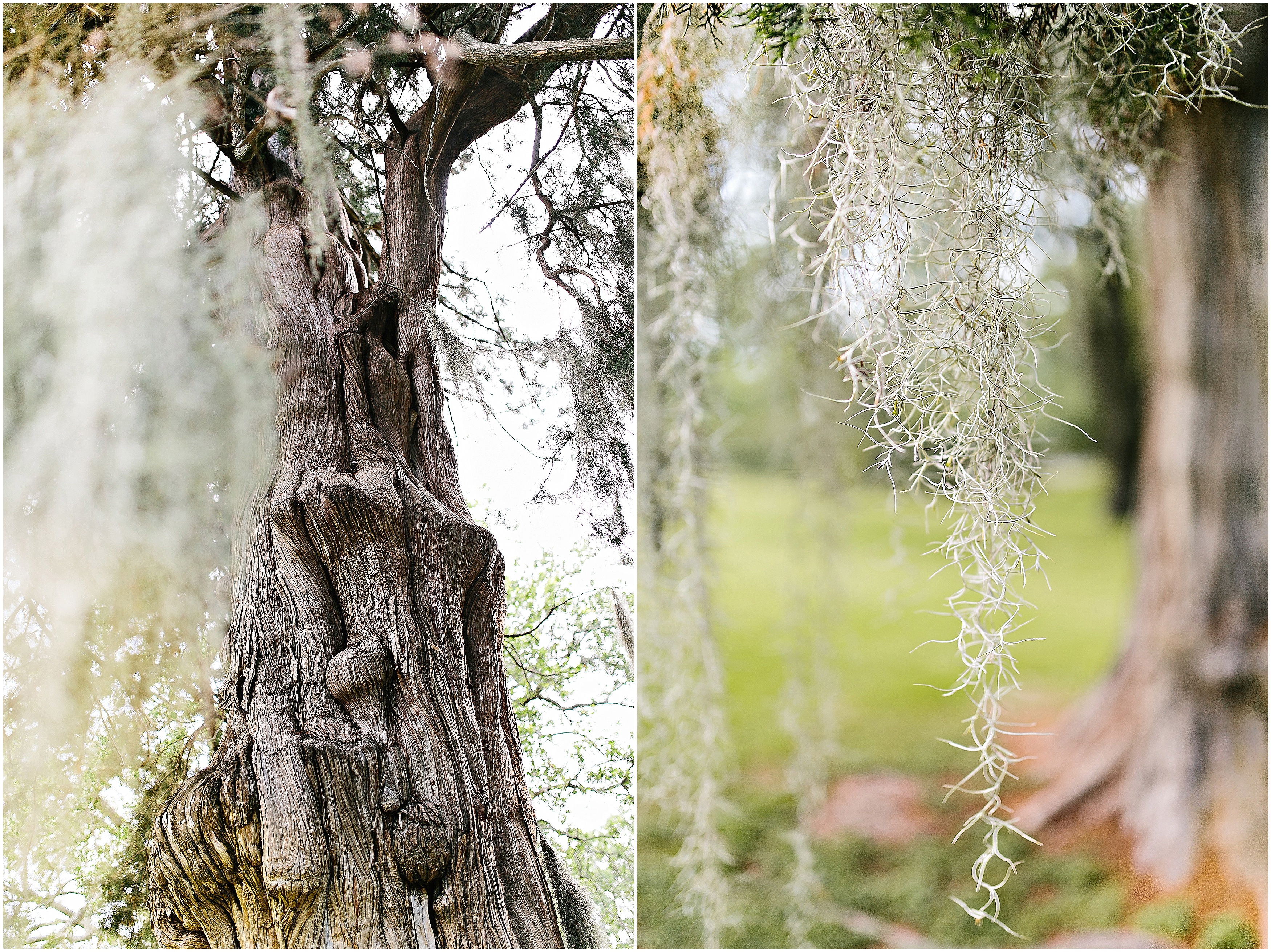 natchez Mississippi wedding, Dunleith wedding, Natchez wedding photographer