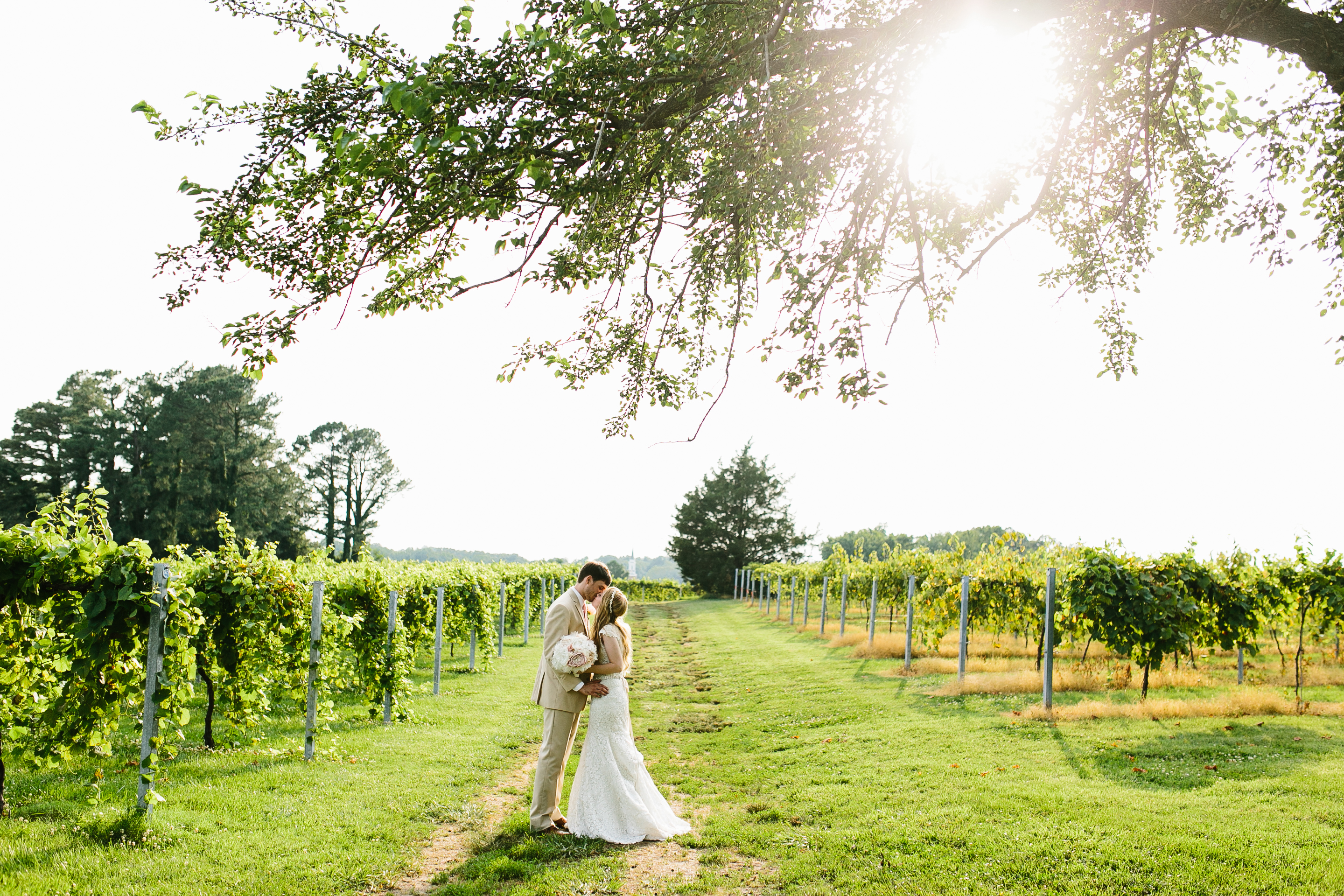 candid wedding photography. creative wedding images. natural wedding photography. winery wedding. vineyard wedding. southern wedding