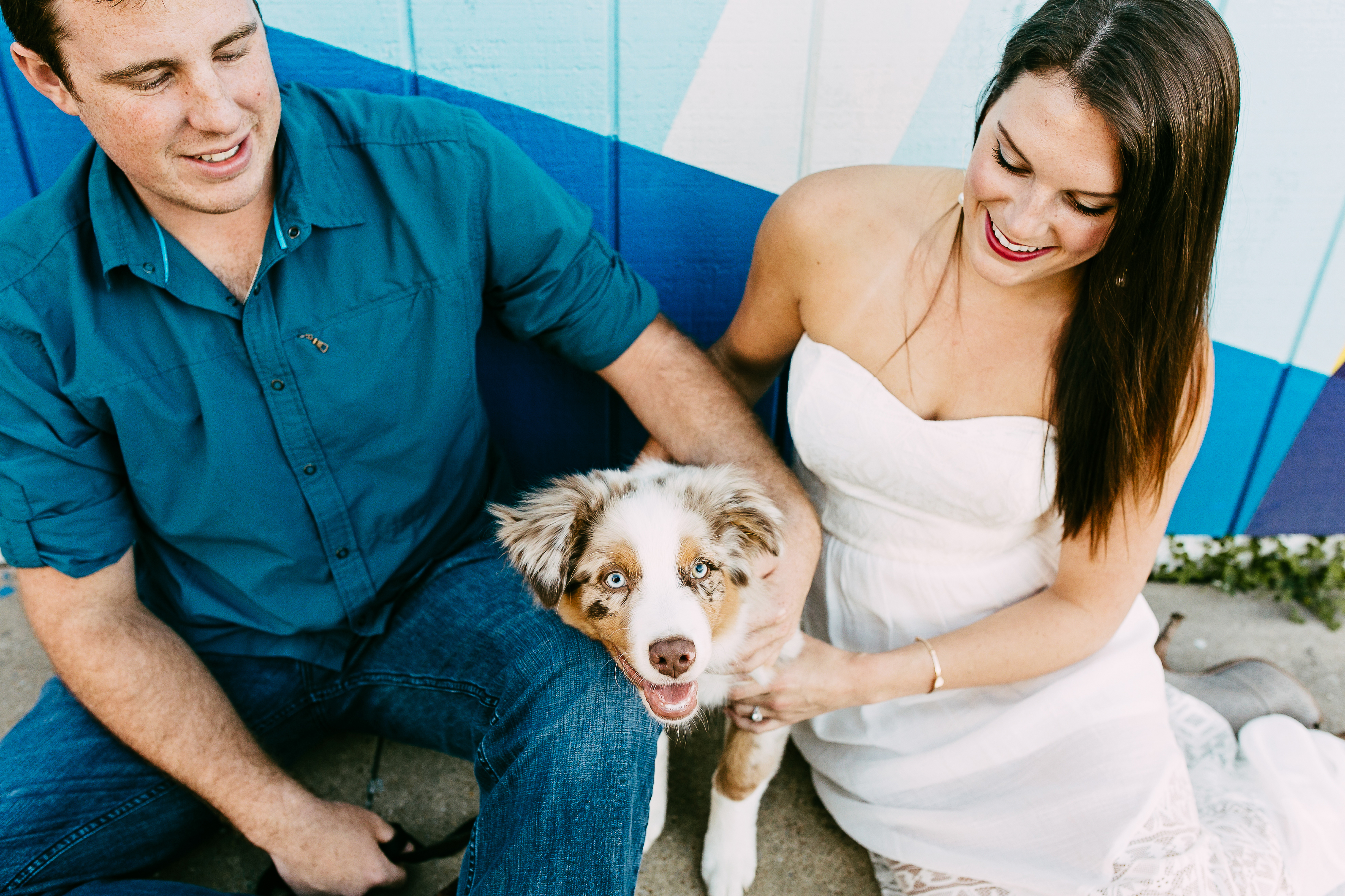 engagement photos with dog. wedding with a dog. dog engagement photos