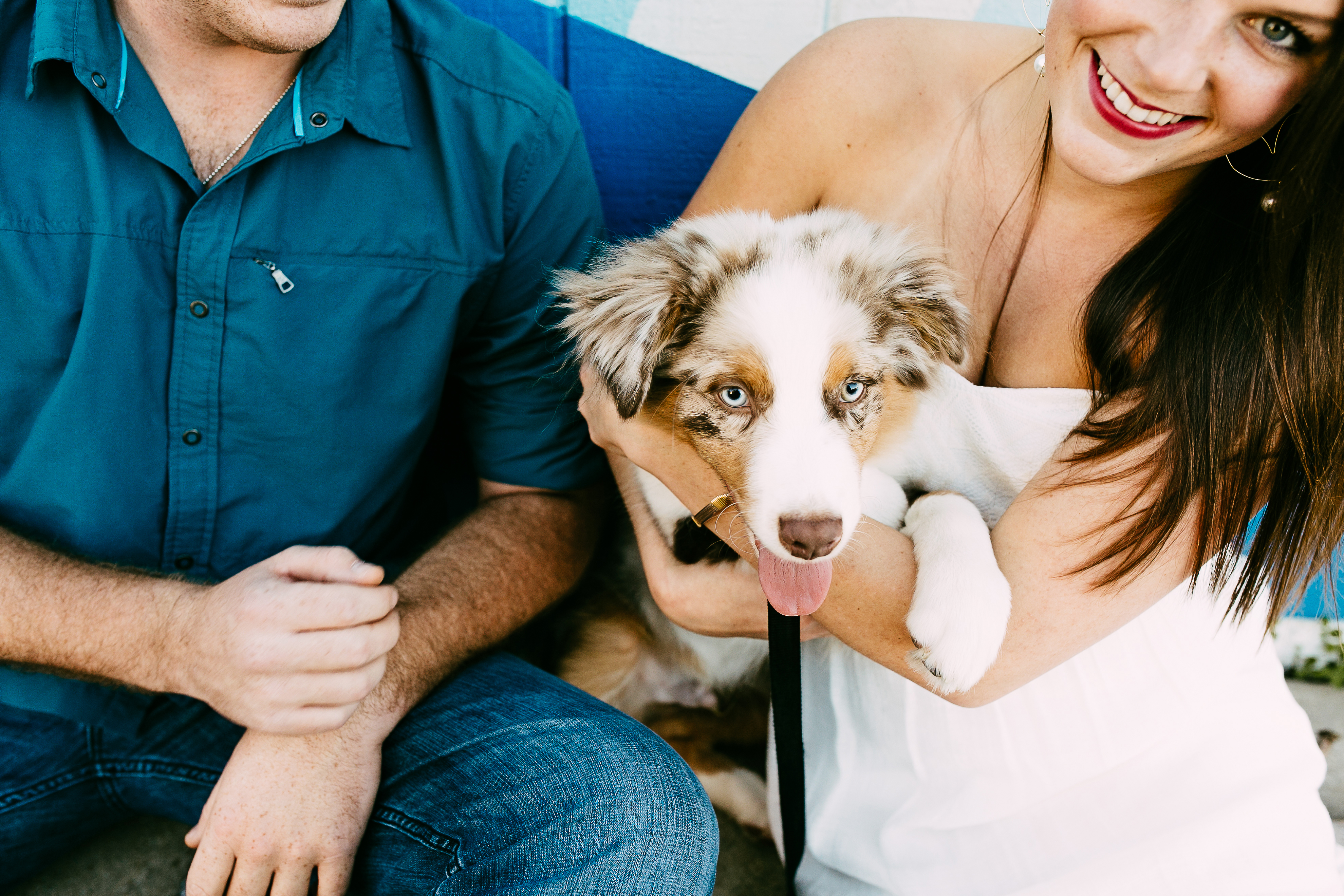 engagement photos with a dog