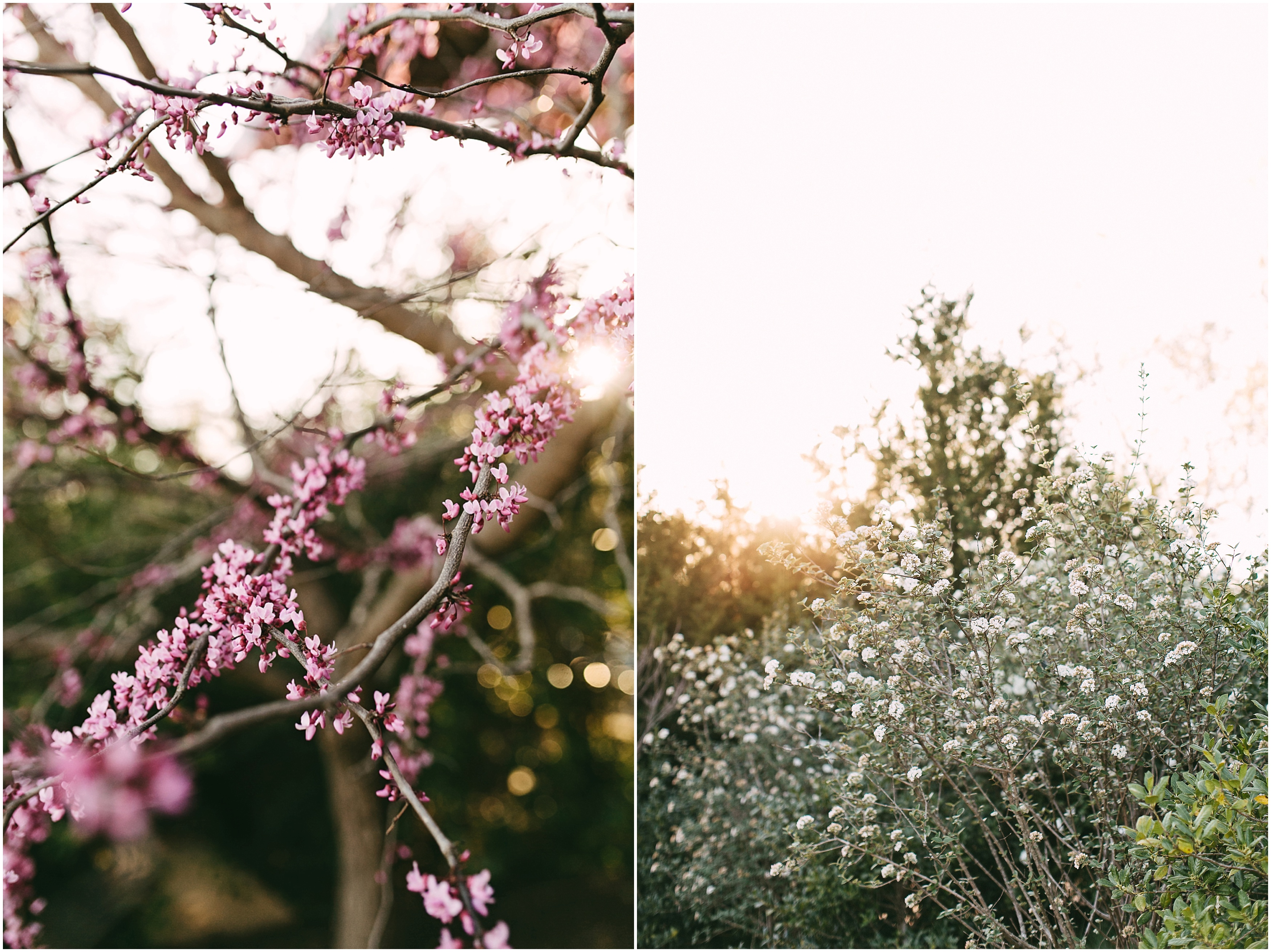 spring-creek-ranch-wedding