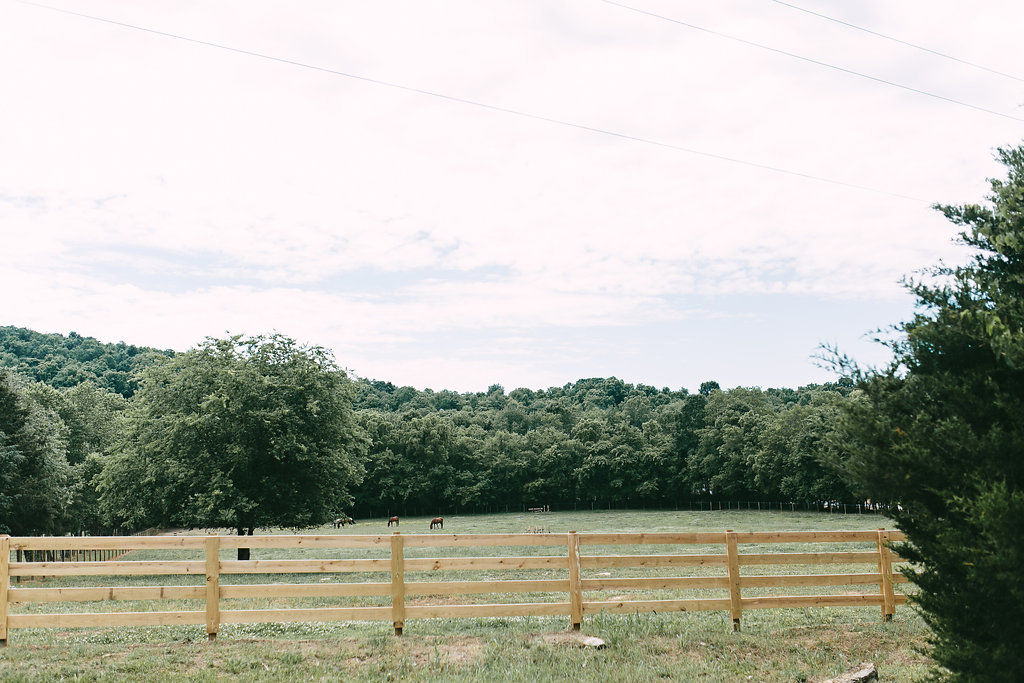 terian-farms-wedding-photographer-nashville-wedding-photographer