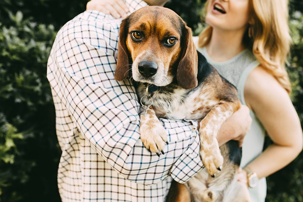engagement-session-with-a-dog