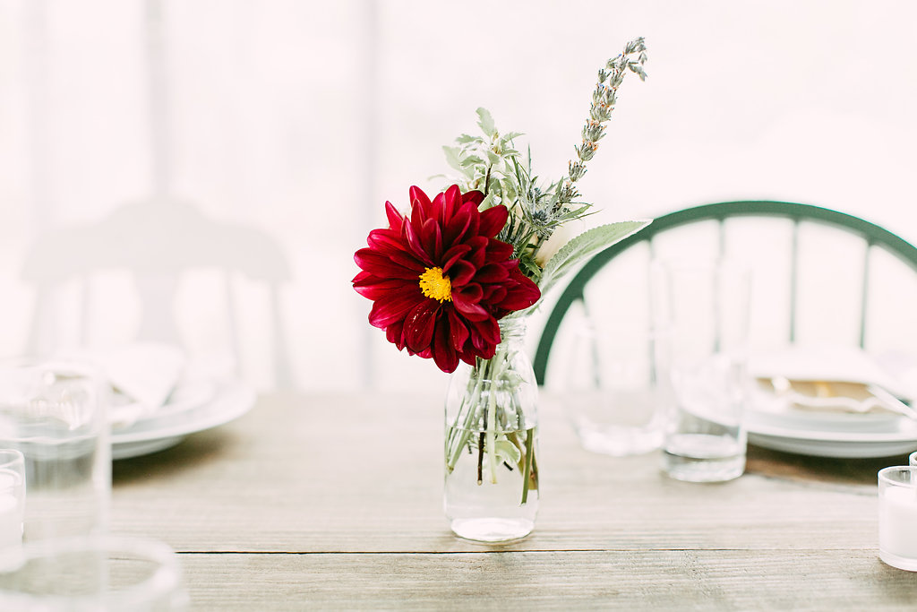 intimate-seated-dinner