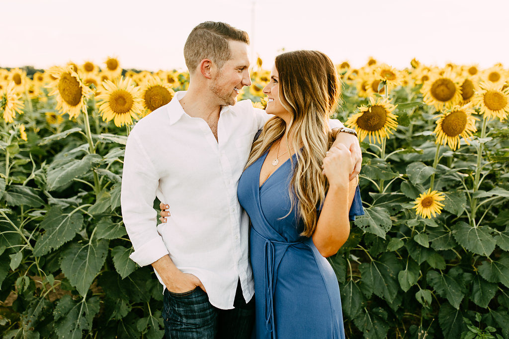 Memphis-Sunflower-field