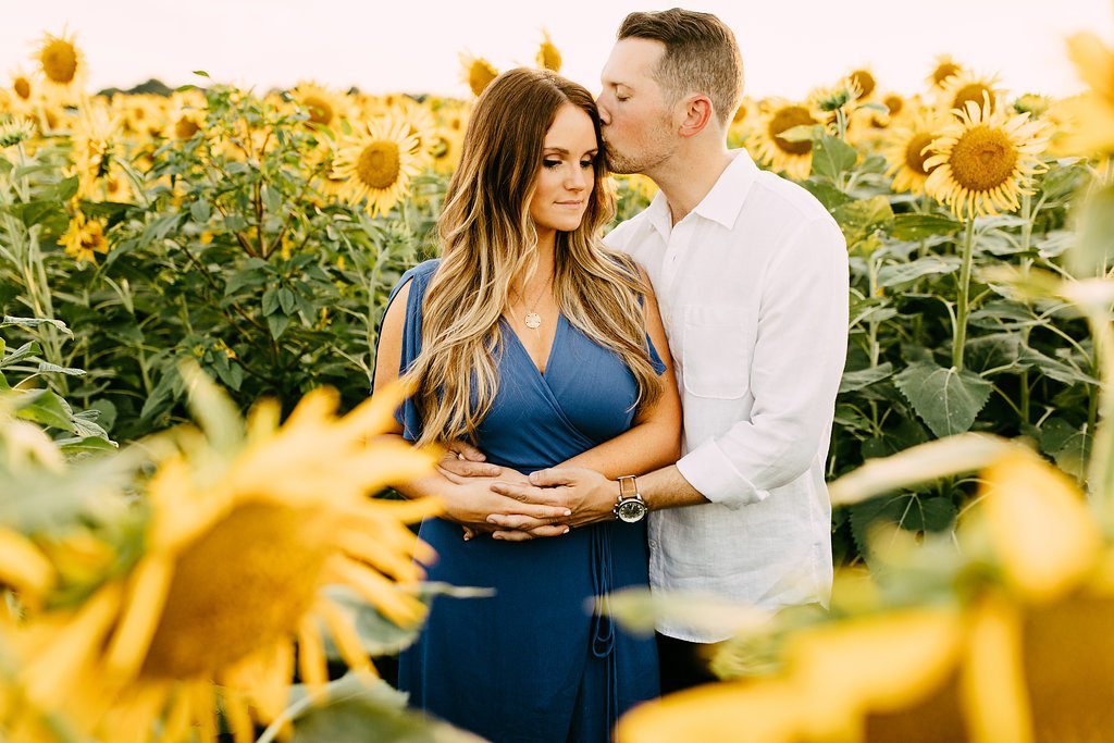 Memphis-Sunflower-field