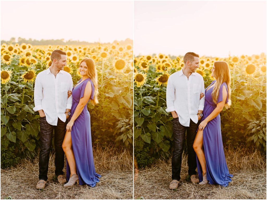 Memphis-Sunflower-field