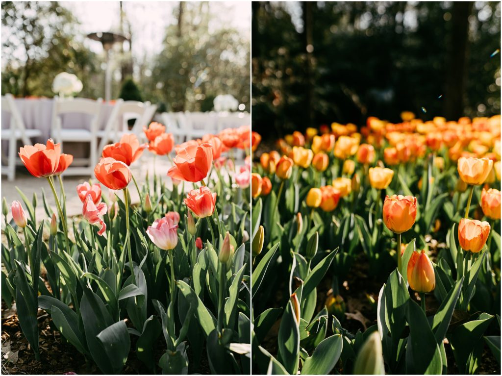 dixon-garden-weddings-memphis