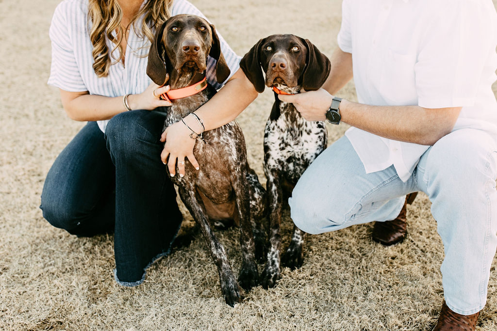 engagement-photos-with-dogs