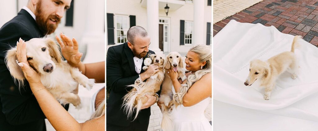 Oxford Mississippi Wedding